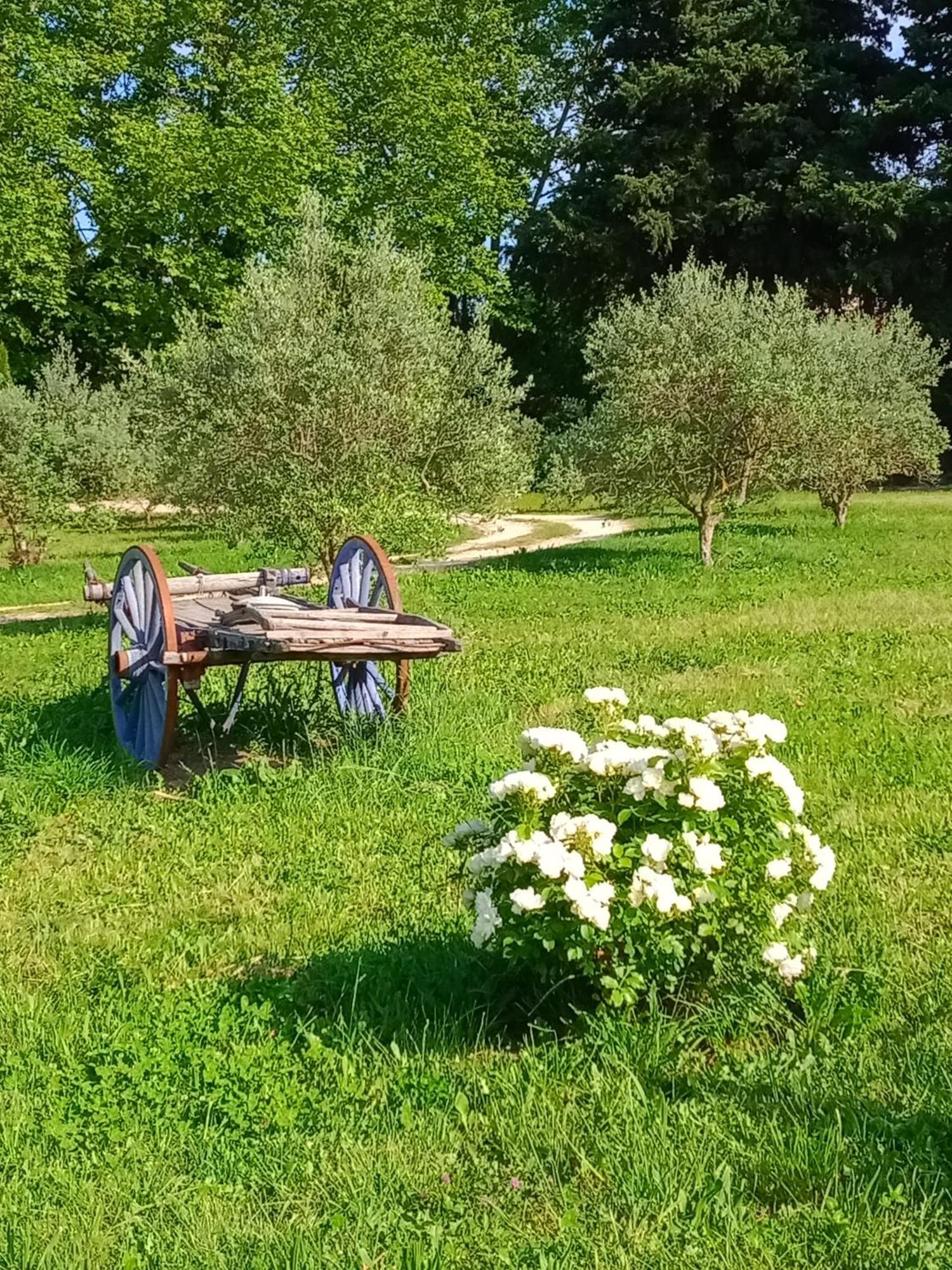 Apartmán Mas De Karlotte Pernes-les-Fontaines Exteriér fotografie